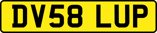 DV58LUP