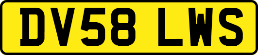 DV58LWS