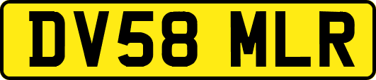 DV58MLR