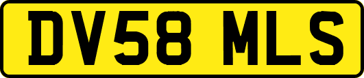 DV58MLS