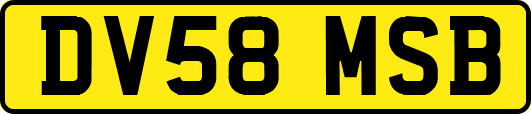 DV58MSB