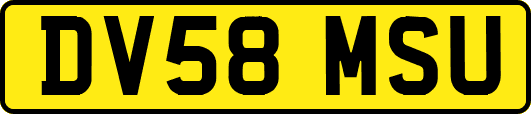 DV58MSU
