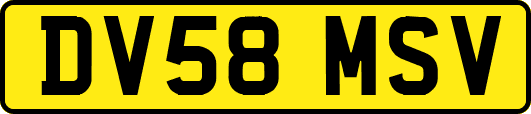 DV58MSV