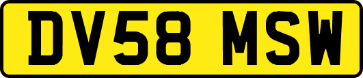 DV58MSW