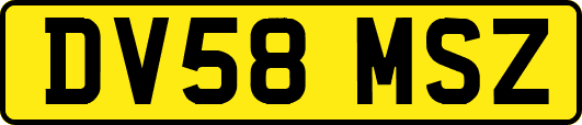 DV58MSZ
