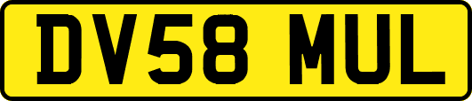 DV58MUL