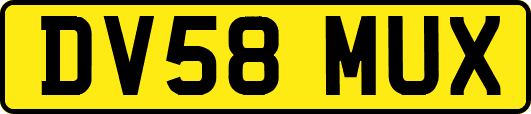 DV58MUX