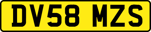 DV58MZS
