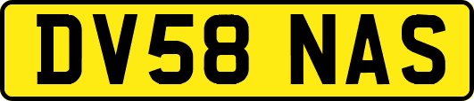 DV58NAS