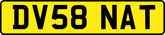 DV58NAT