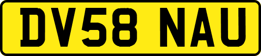 DV58NAU