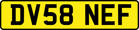 DV58NEF