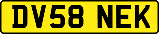 DV58NEK