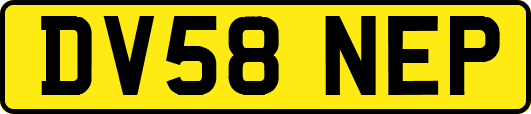 DV58NEP