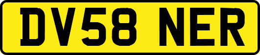 DV58NER