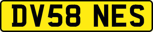 DV58NES