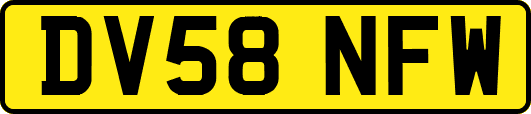 DV58NFW