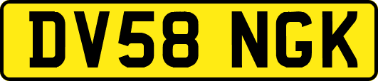 DV58NGK