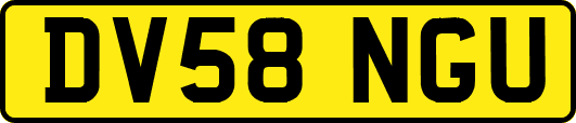 DV58NGU