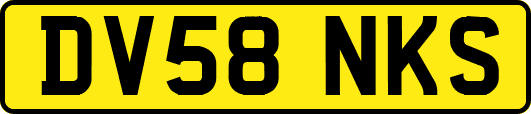 DV58NKS
