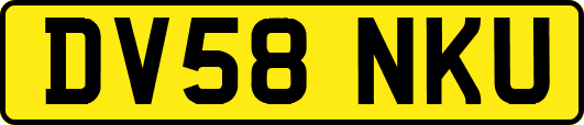DV58NKU