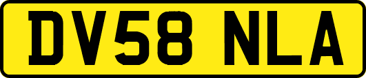 DV58NLA