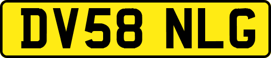 DV58NLG