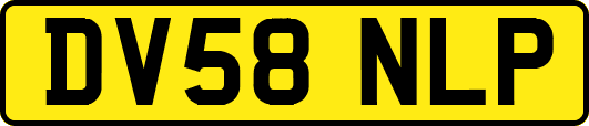 DV58NLP