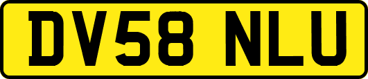 DV58NLU