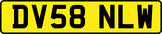 DV58NLW
