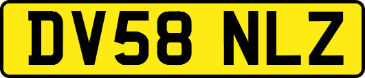DV58NLZ