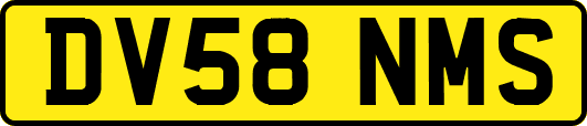 DV58NMS