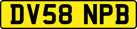 DV58NPB