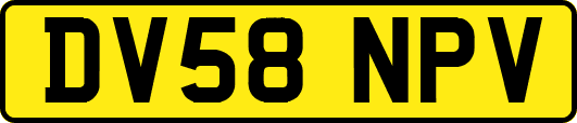 DV58NPV