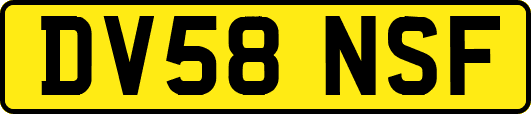 DV58NSF