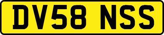 DV58NSS