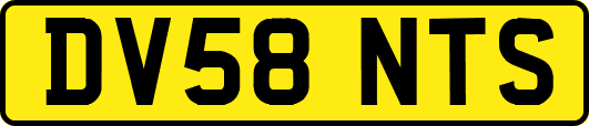 DV58NTS