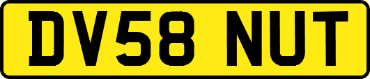 DV58NUT