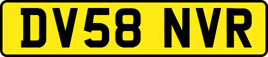 DV58NVR