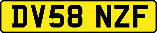 DV58NZF