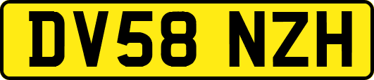 DV58NZH