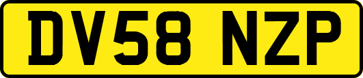 DV58NZP