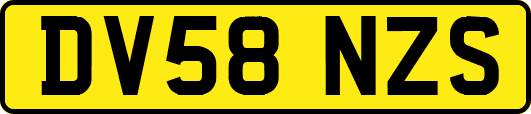 DV58NZS