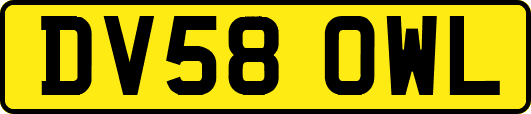 DV58OWL