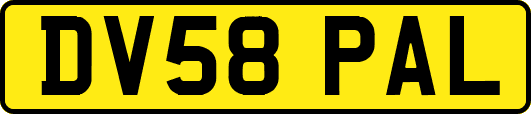 DV58PAL