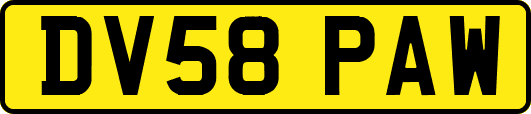 DV58PAW