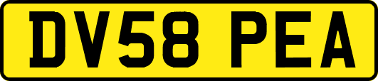 DV58PEA