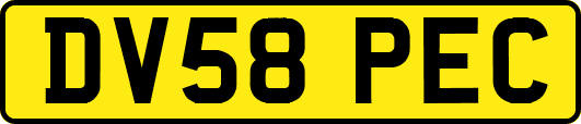 DV58PEC