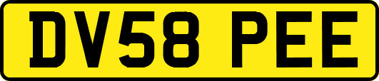 DV58PEE