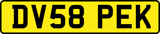 DV58PEK